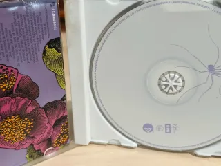 CD Bebe Pafuera Telarañas