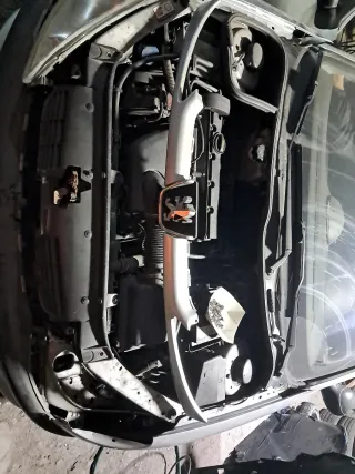 Calandra frontal Peugeot 206