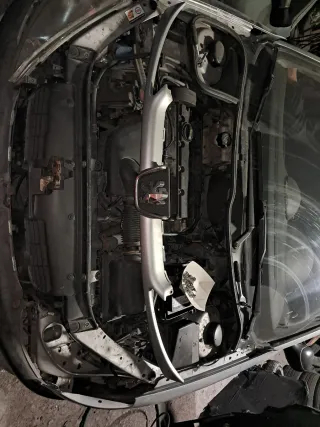 Calandra frontal Peugeot 206