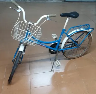 Bicicleta BH Bolero Antigua Rueda 20
