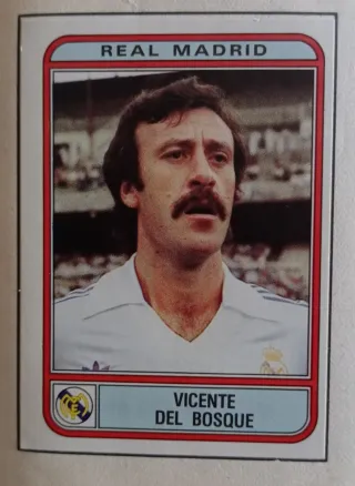 REAL MADRID CROMOS RECORTADOS 1982