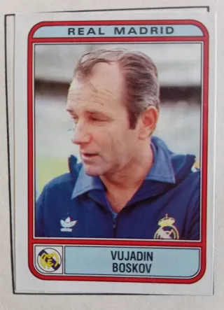 REAL MADRID CROMOS RECORTADOS 1982