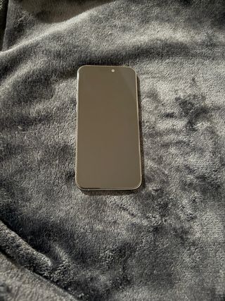 iPhone 15 Pro Max Gris/Plata