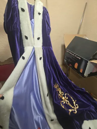 Traje de Reina Morado y Dorado