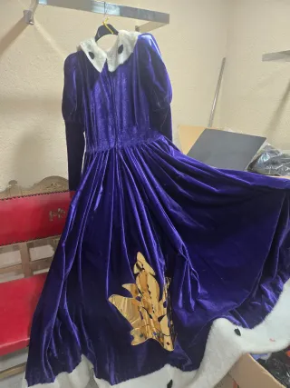 Traje de Reina Morado y Dorado