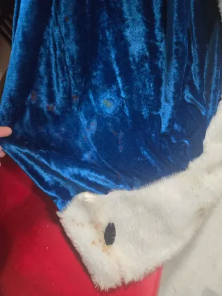 Traje de Reina Morado y Dorado