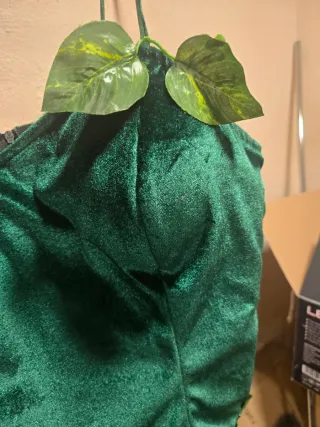 Traje Hiedra Carnaval