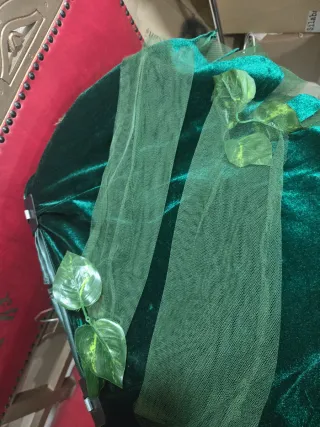 Traje Hiedra Carnaval