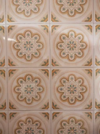 Azulejos antiguos decorados