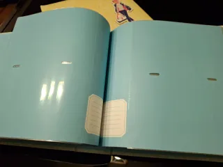 Álbum fotos Jordi Labanda azul