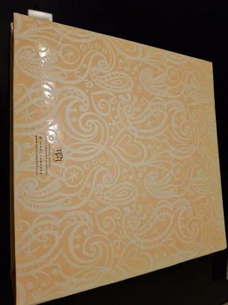 Álbum fotos Jordi Labanda amarillo