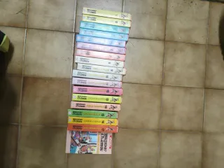 Lot 21 VHS Tintín y  18 Mortadelo y 4 de 3 Besones