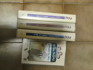 Lot 21 VHS Tintín y  18 Mortadelo y 4 de 3 Besones