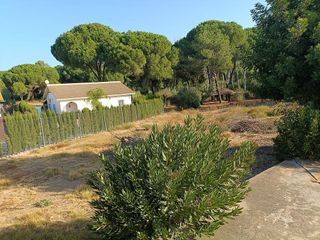 Casa rural en venta en Hinojos