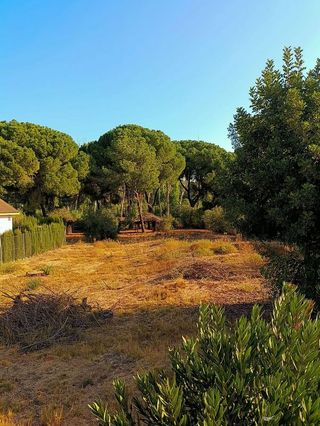 Casa rural en venta en Hinojos