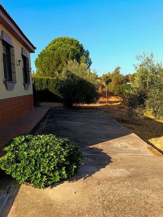 Casa rural en venta en Hinojos