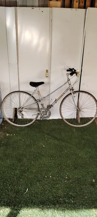 Bicicleta de paseo plateada