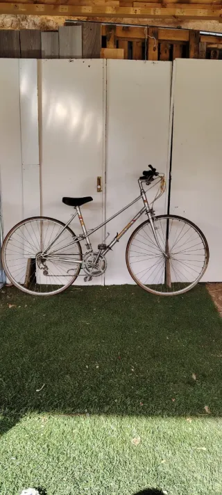 Bicicleta de paseo plateada