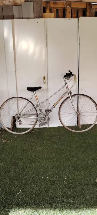 Bicicleta de paseo plateada