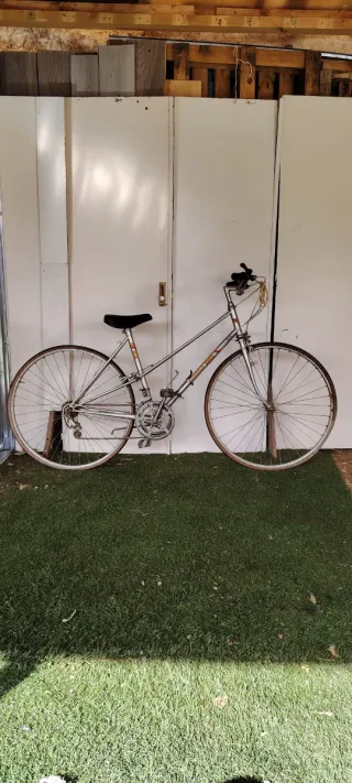 Bicicleta de paseo plateada