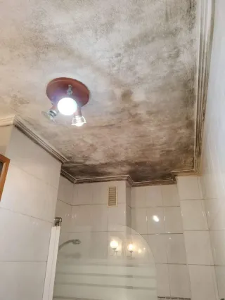 Pintor profesional, lucidos