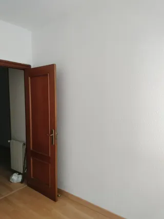 Pintor profesional, lucidos