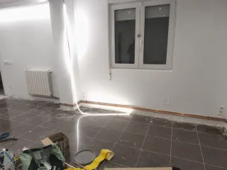 Pintor profesional, lucidos