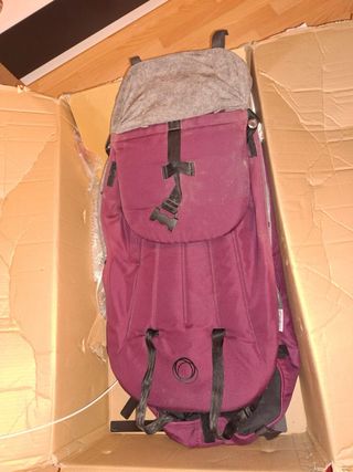 Carrito Bugaboo Camaleón Rosa