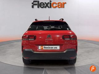 Citroën C4 Cactus PureTech 110 S&S Shine