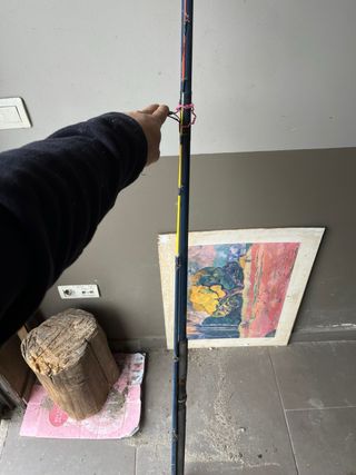 Caña de pescar Bluestar 3002 Carbonite