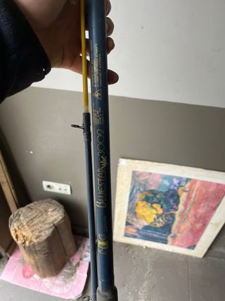 Caña de pescar Bluestar 3002 Carbonite