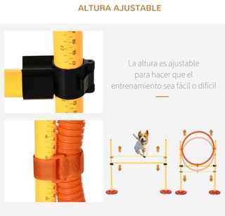 Juego obstáculos entrenamiento perros