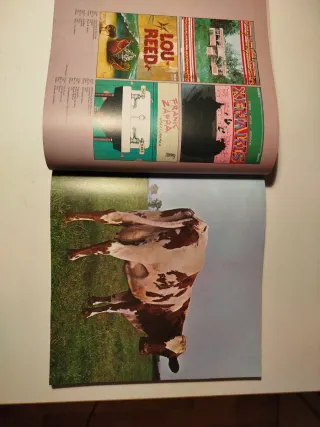 OMNIBUS EDITION Album Cover 4