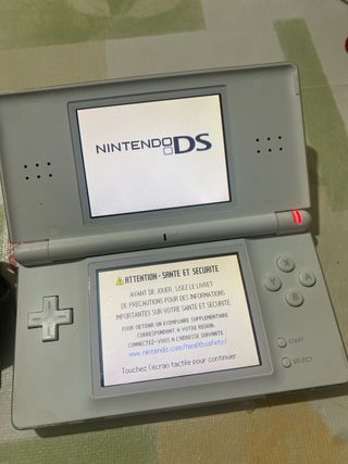 Nintendo DS Bianca con Caricatore