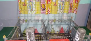 Jaula para hurones, conejos, etc.