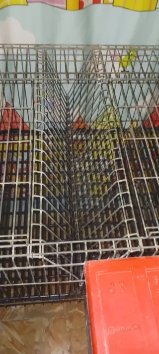 Jaula para hurones, conejos, etc.