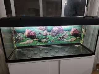 Pecera con mueble y depuradora