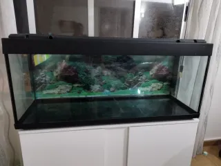 Pecera con mueble y depuradora