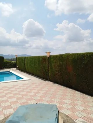 Servicios de poda y tala de árboles