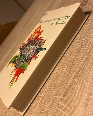 Un amor: Premio Nadal de Novela 2018 (Spanish E...