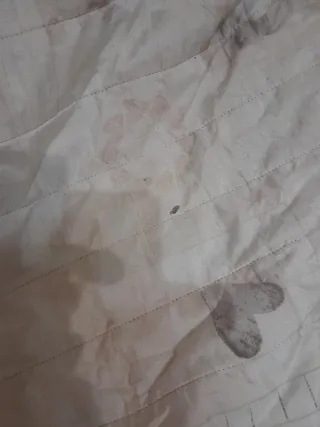 2 Copridivano tessuto beige e marrone prezzi diver