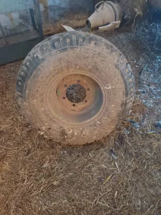 Rueda para remolque Tatoma