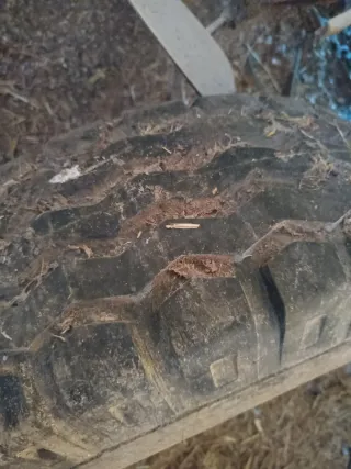 Rueda para remolque Tatoma