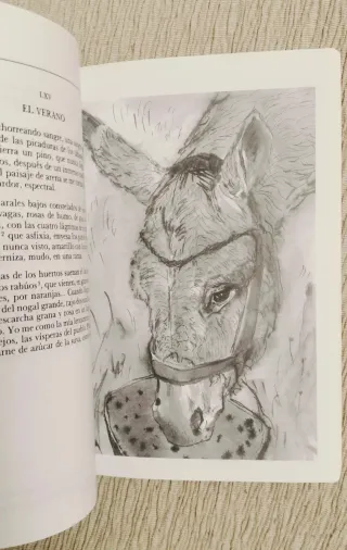Platero y yo