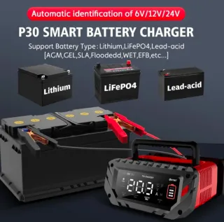 Cargador Batería Inteligente P30 6V/12V/24V