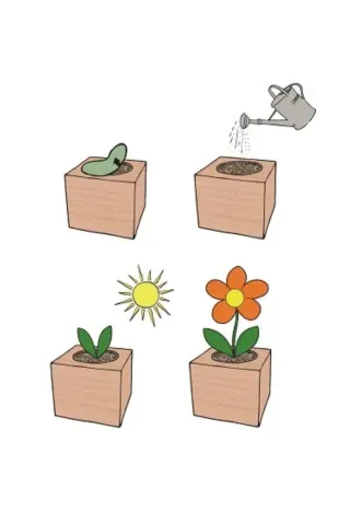 Lote x5 Kit Cultivo Mágico Unicornio Feel Green