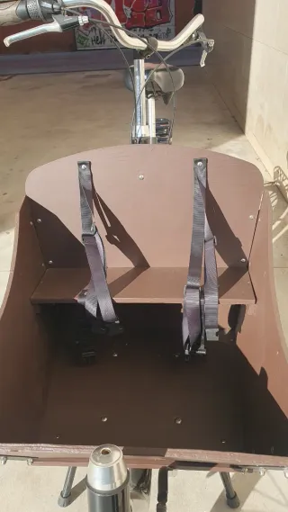 ​Cargobike 2 Ruedas Revisada Electrificable