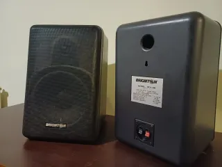 Altavoces BRIGHTON 8 OHMS Negros