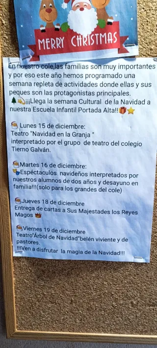 Elevalunas NISSAN copiloto