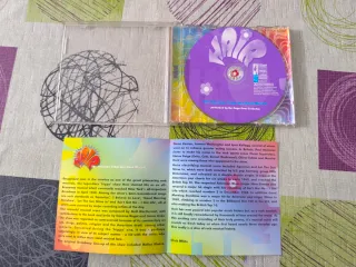 CD HAIR The Stage Door Orchestra